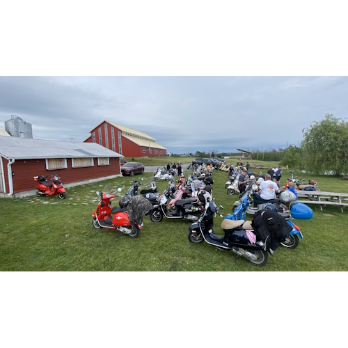 vespa_image01